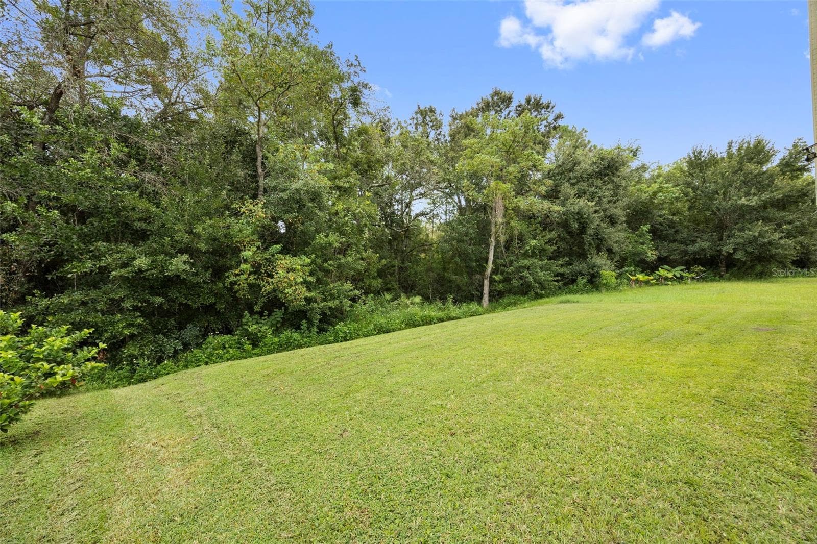 Back yard with wood views. - 703 PALMERA ST, ORLANDO