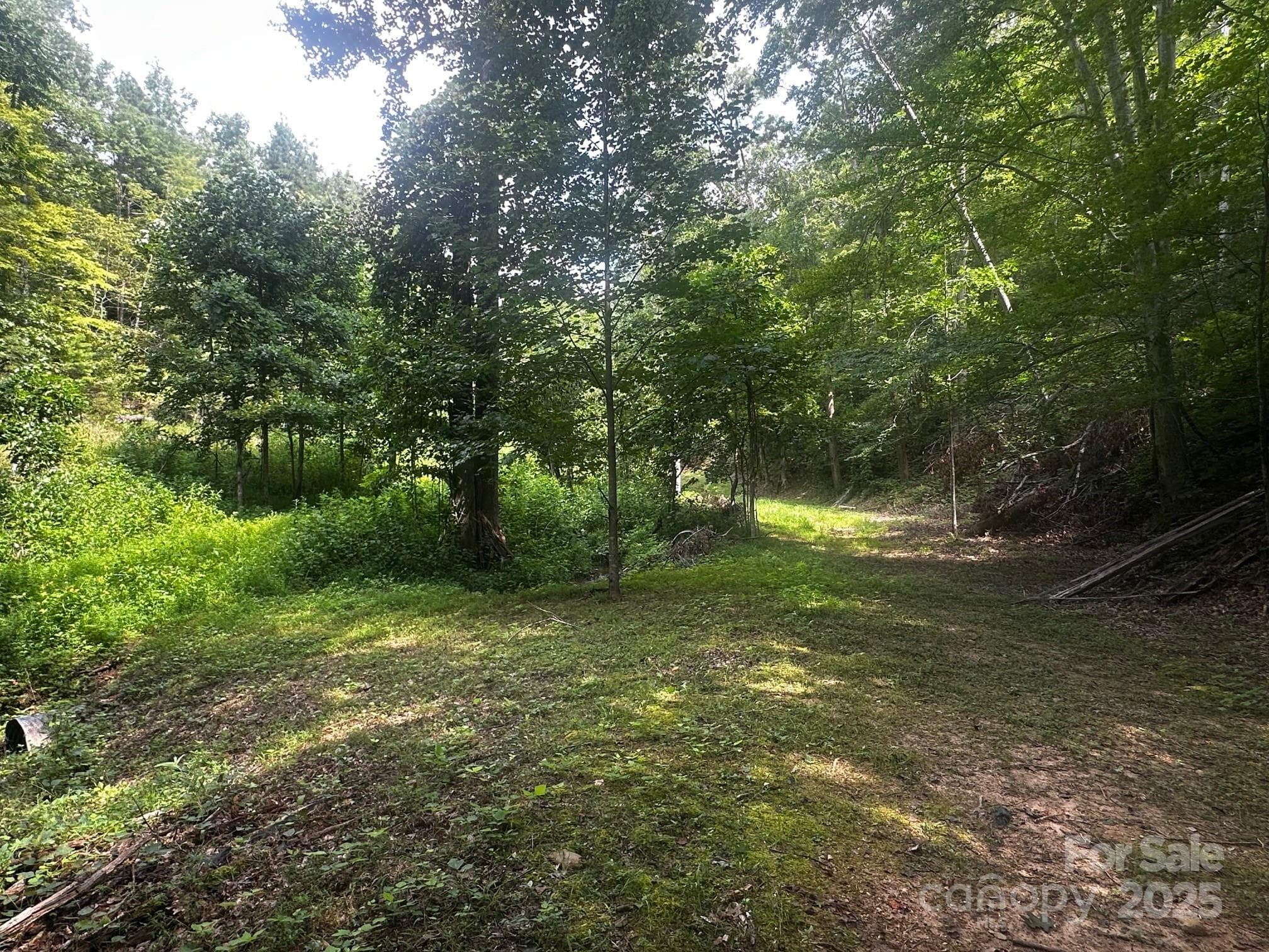 Acreage at Lake Lure, photo 4 of 38