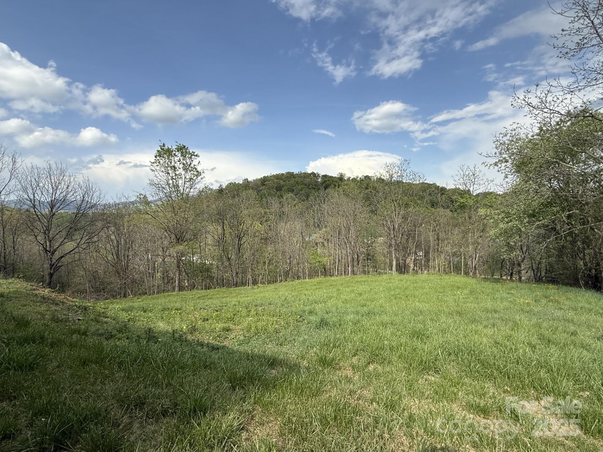 Acreage at Canton, photo 2 of 15