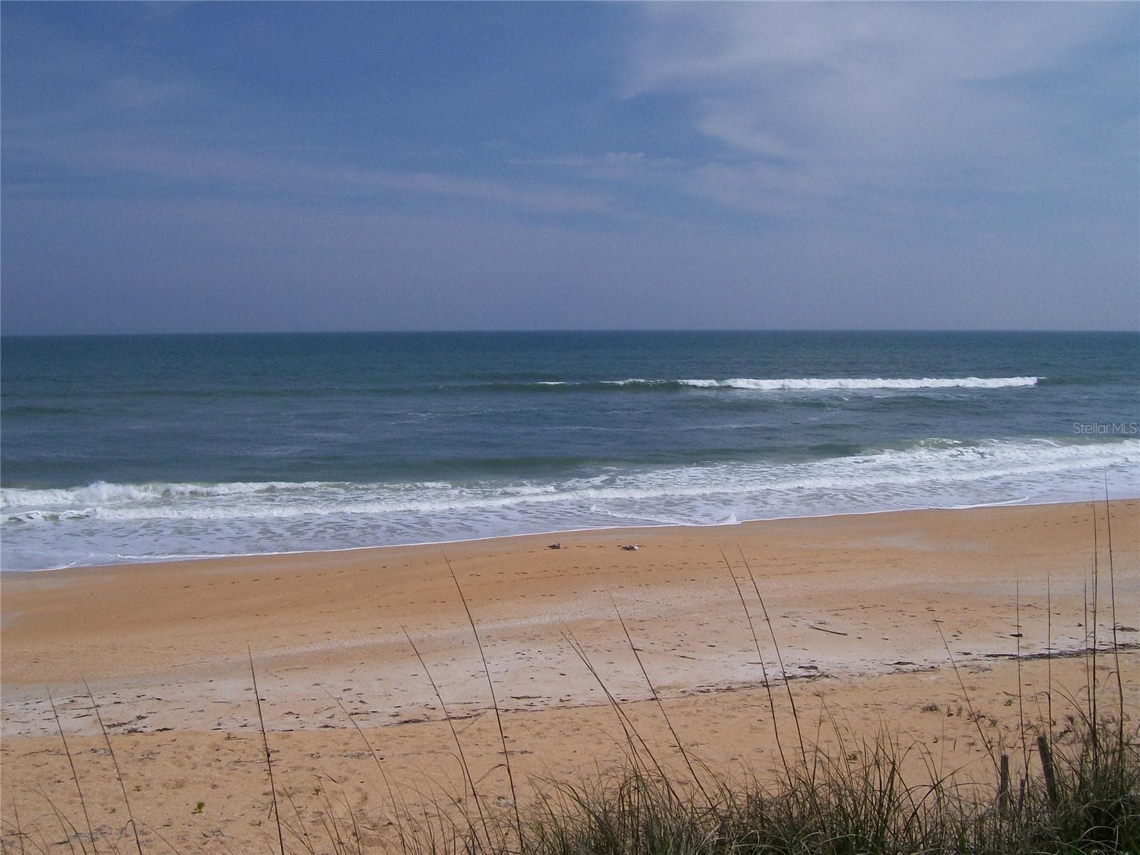 Townhouse at 3501 S CENTRAL AVE, FLAGLER BEACH, photo 61 of 61