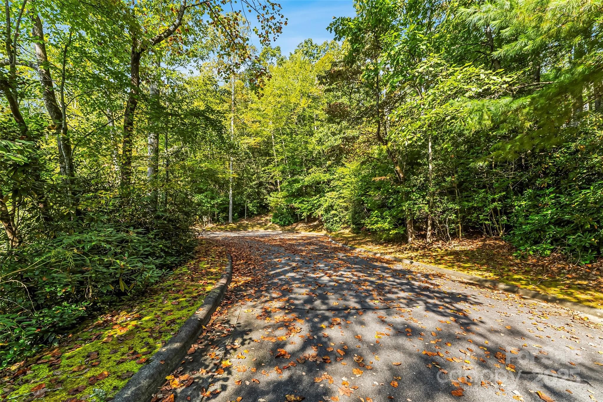 Lot at Brevard, photo 3 of 13