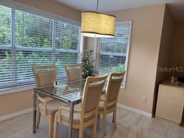Sunroom with Forest Reserve View - 5120 CONROY RD #12, ORLANDO