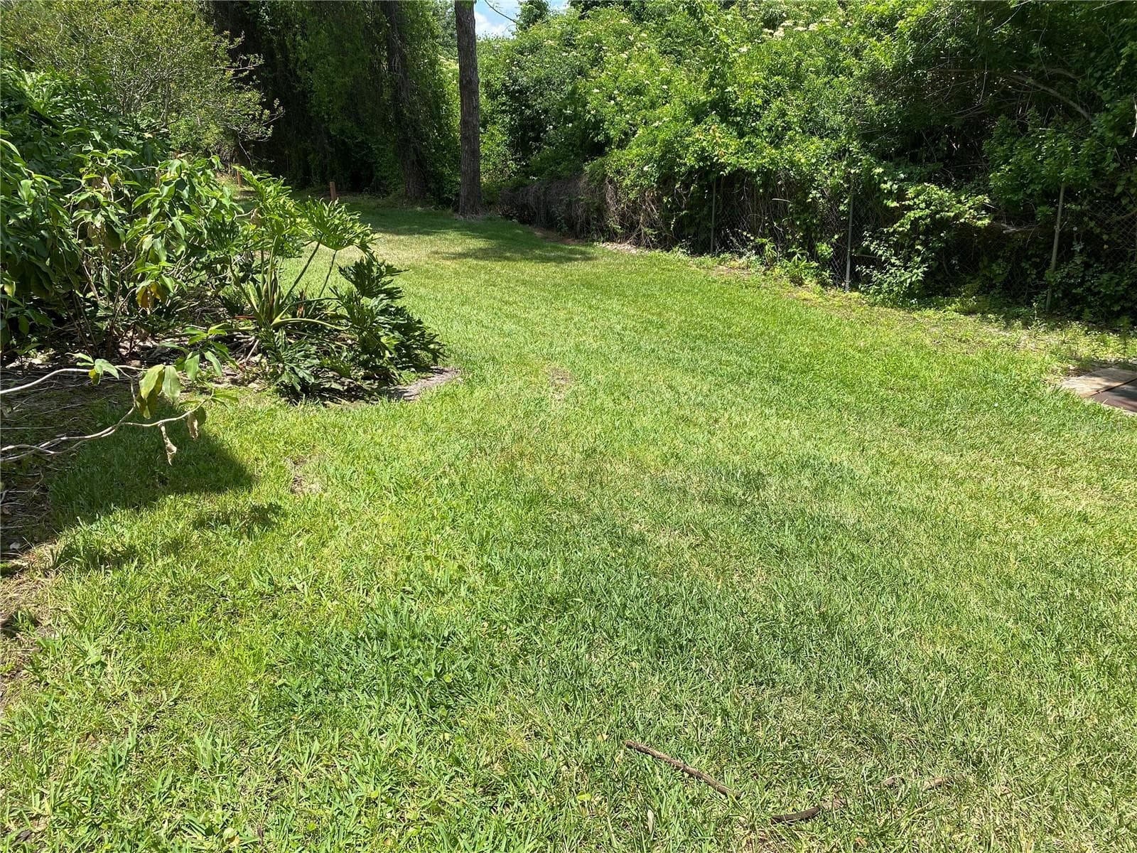 Back View with Forest Reservation - 5120 CONROY RD #12, ORLANDO