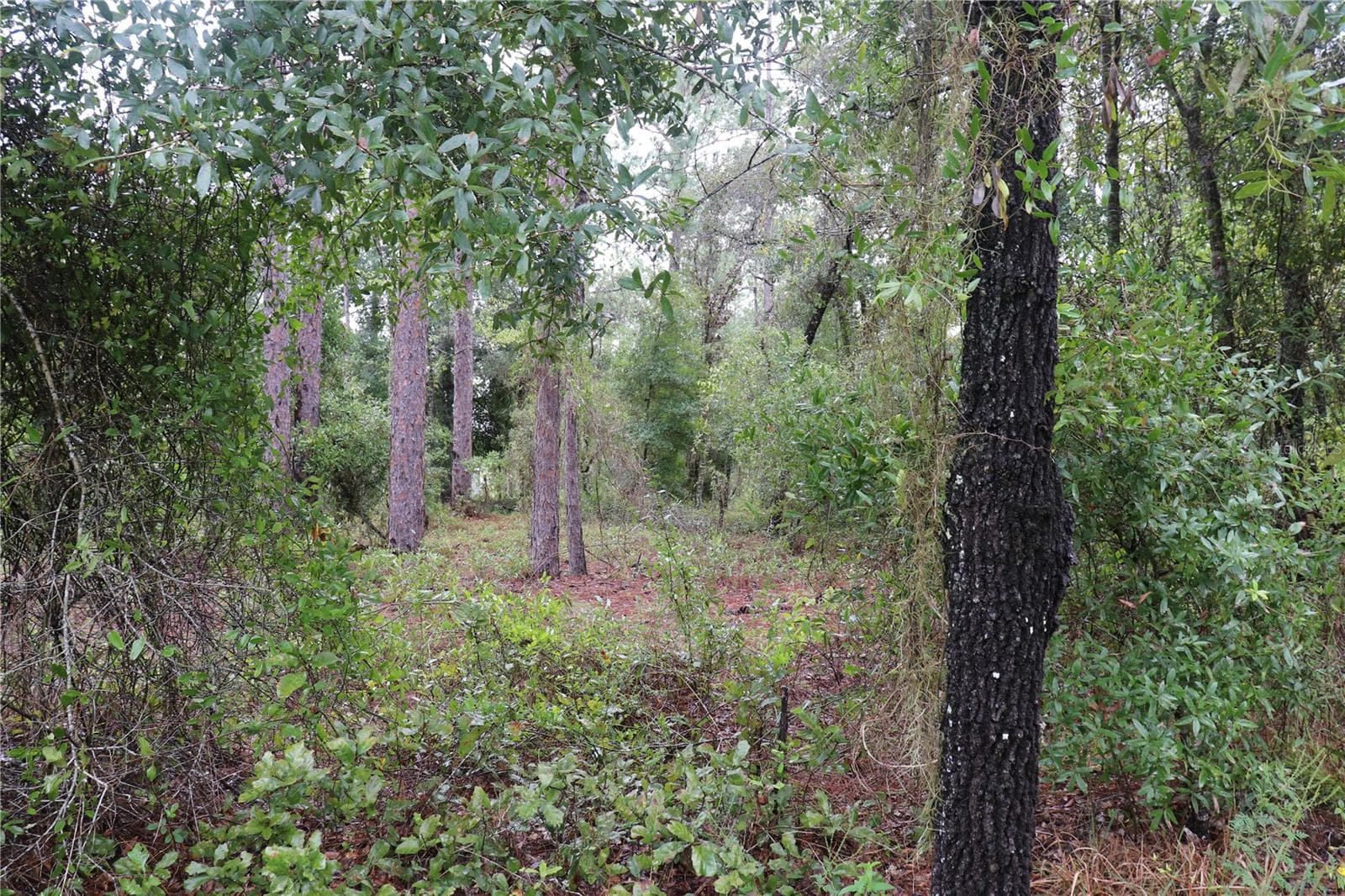 00 NW BEUNA VISTA RD