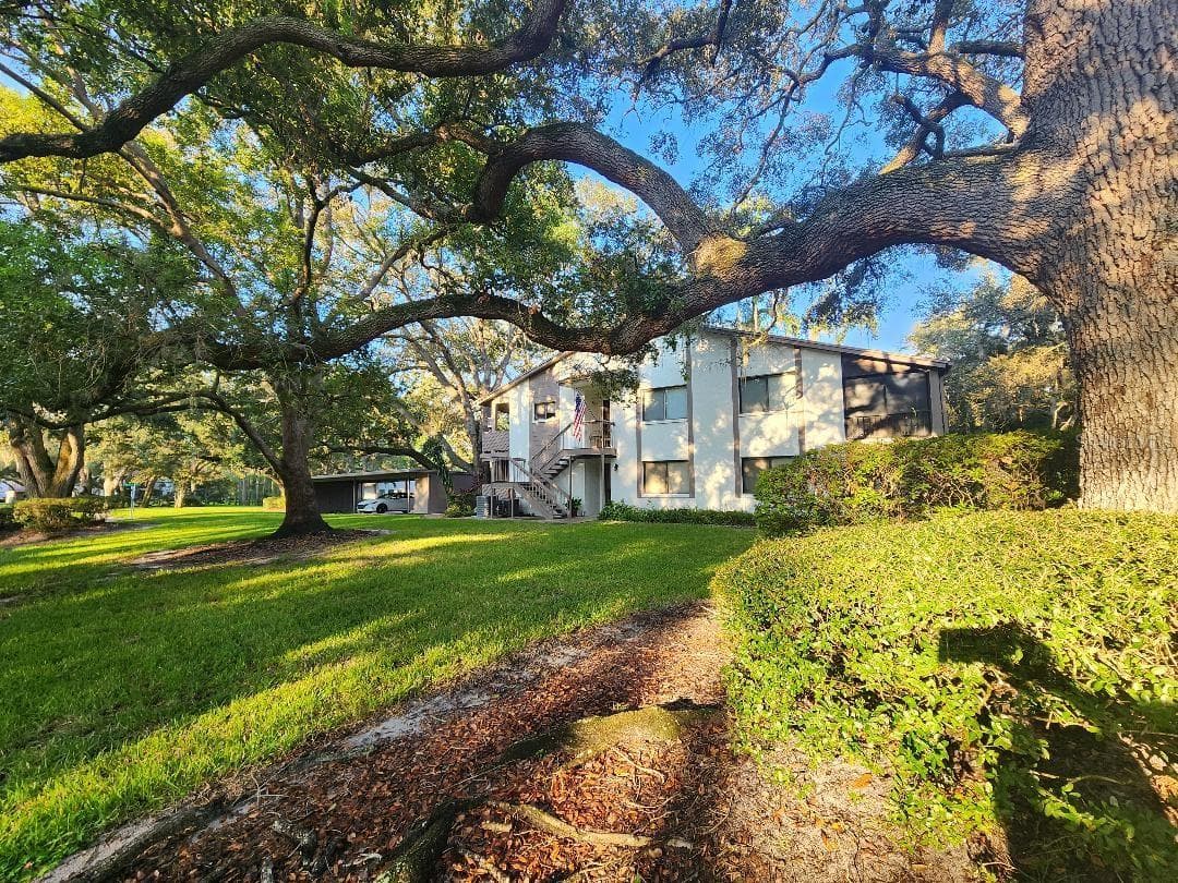 Condominium at 603 BALDWIN AVE #B, SAFETY HARBOR, photo 40 of 50