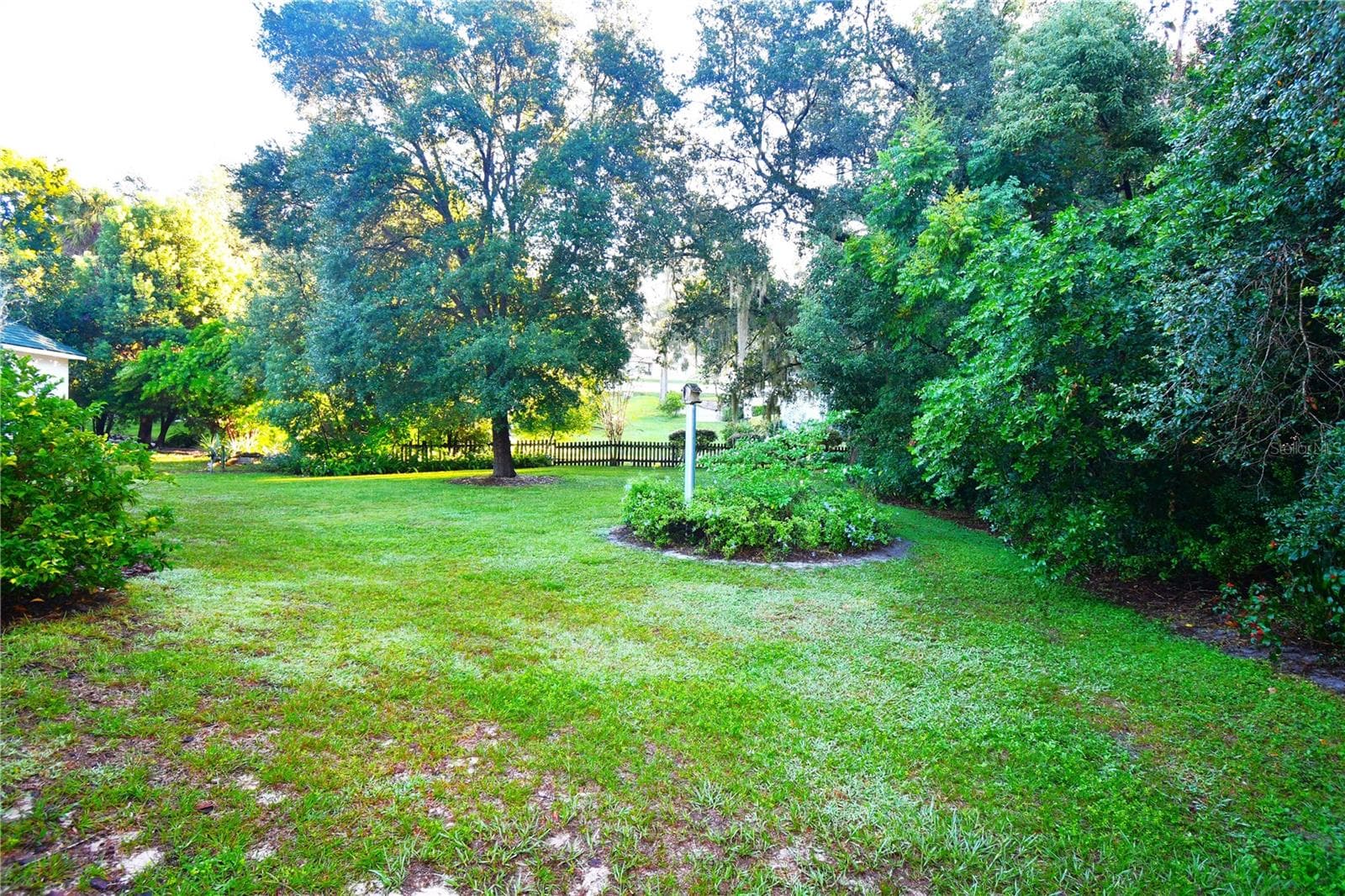 Backyard - 611 OLD EUSTIS RD, MOUNT DORA
