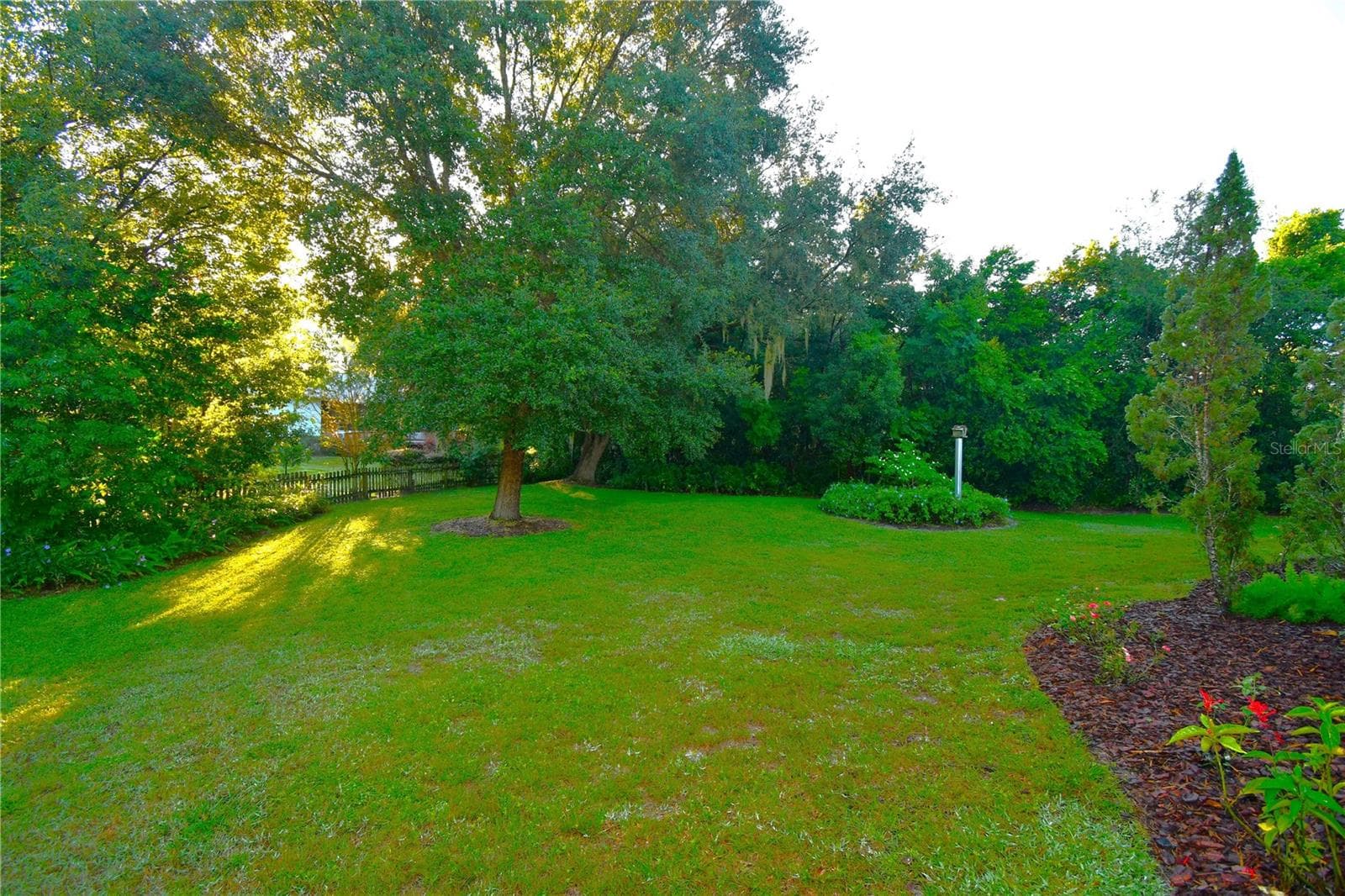 Backyard - 611 OLD EUSTIS RD, MOUNT DORA