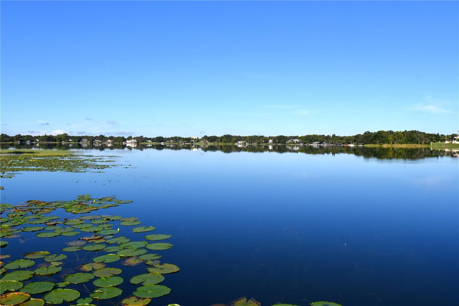 View from Dock - 611 OLD EUSTIS RD, MOUNT DORA