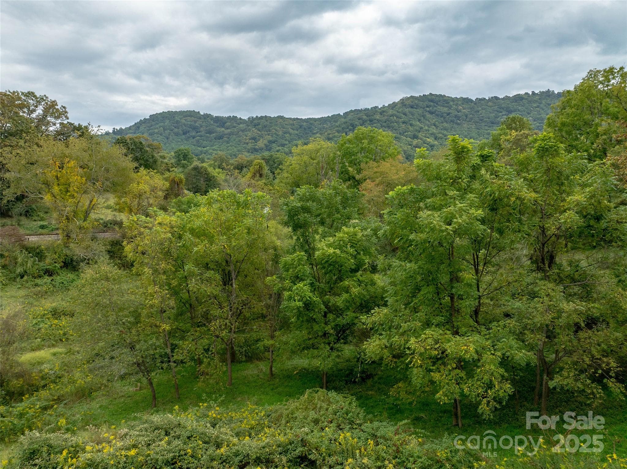 Acreage at Canton, photo 4 of 15