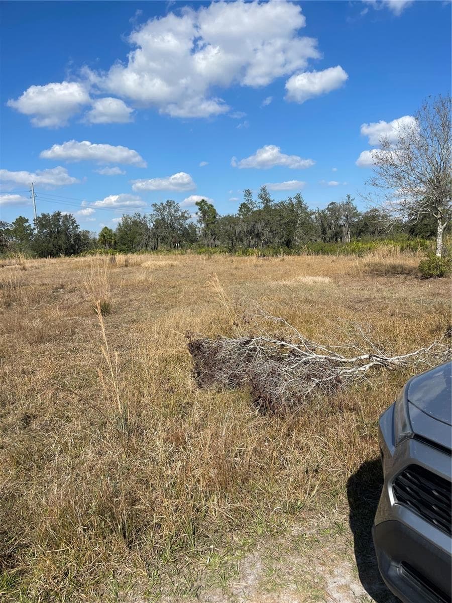 Land at HAMMERMILL AVE, LAKE WALES, photo 2 of 5