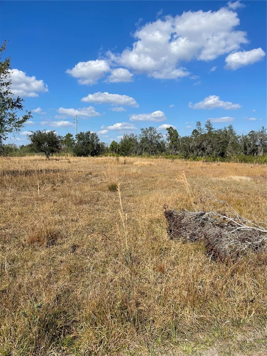 Land at HAMMERMILL AVE, LAKE WALES, photo 3 of 5