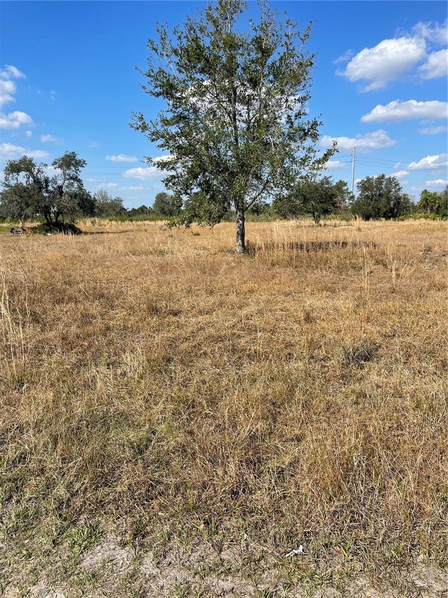 Land at HAMMERMILL AVE, LAKE WALES, photo 4 of 5