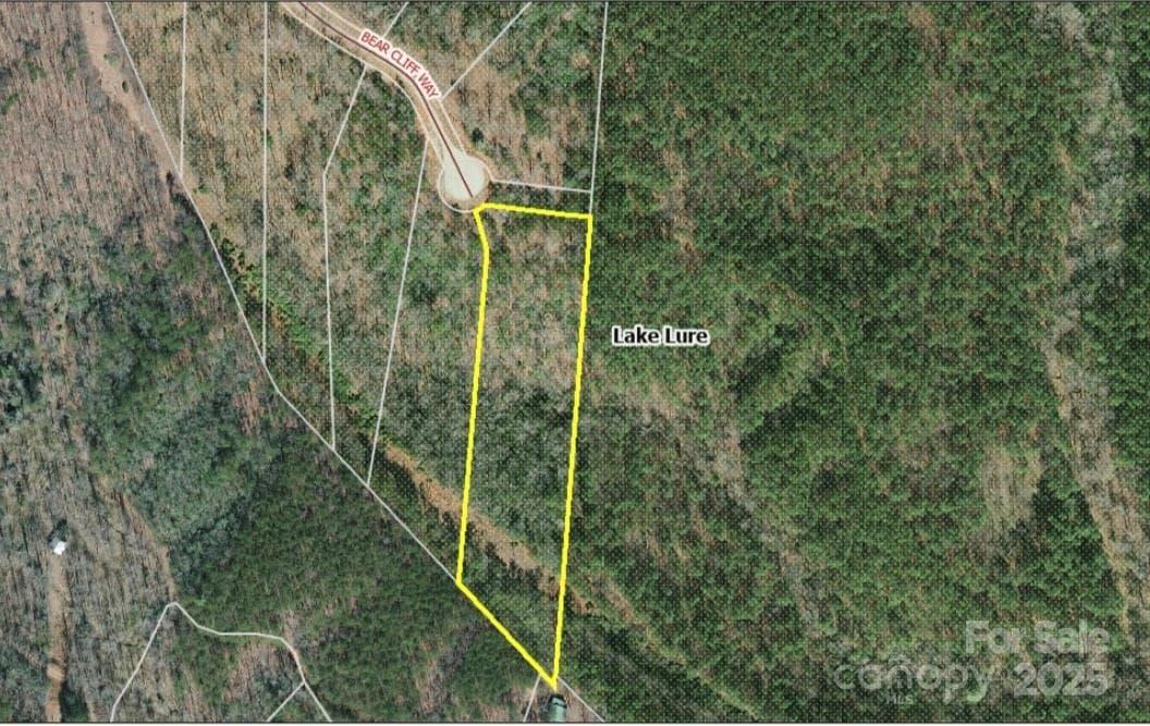Lot at Lake Lure, photo 3 of 3