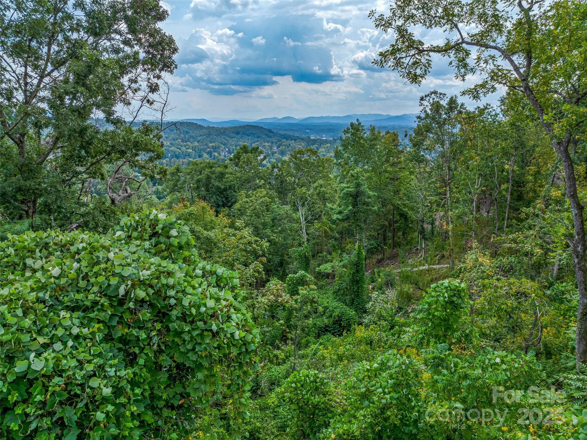 Layer upon layer on mountain views - Asheville