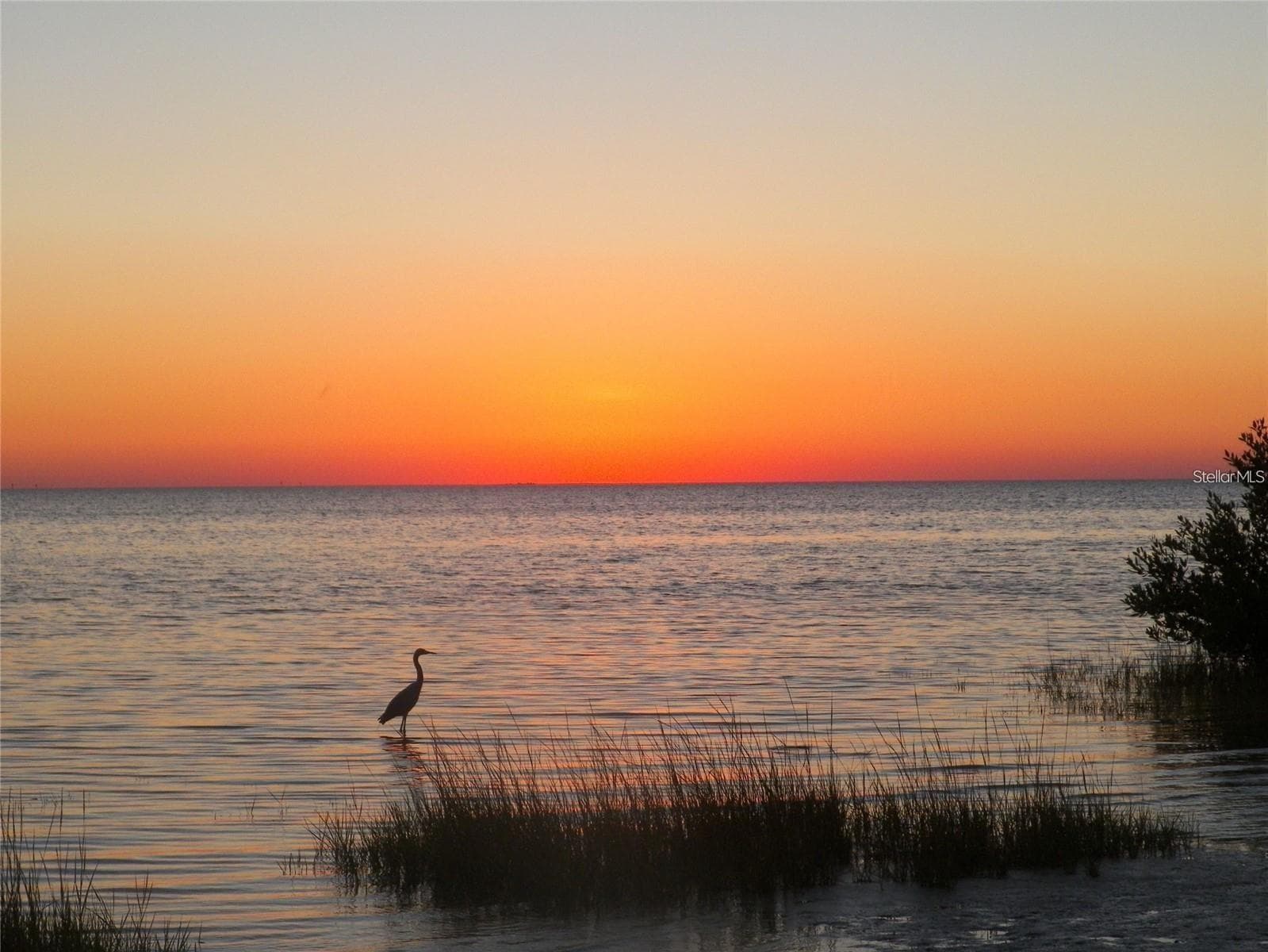 Land at 1-2 GREEN KEY, NEW PORT RICHEY, photo 15 of 16
