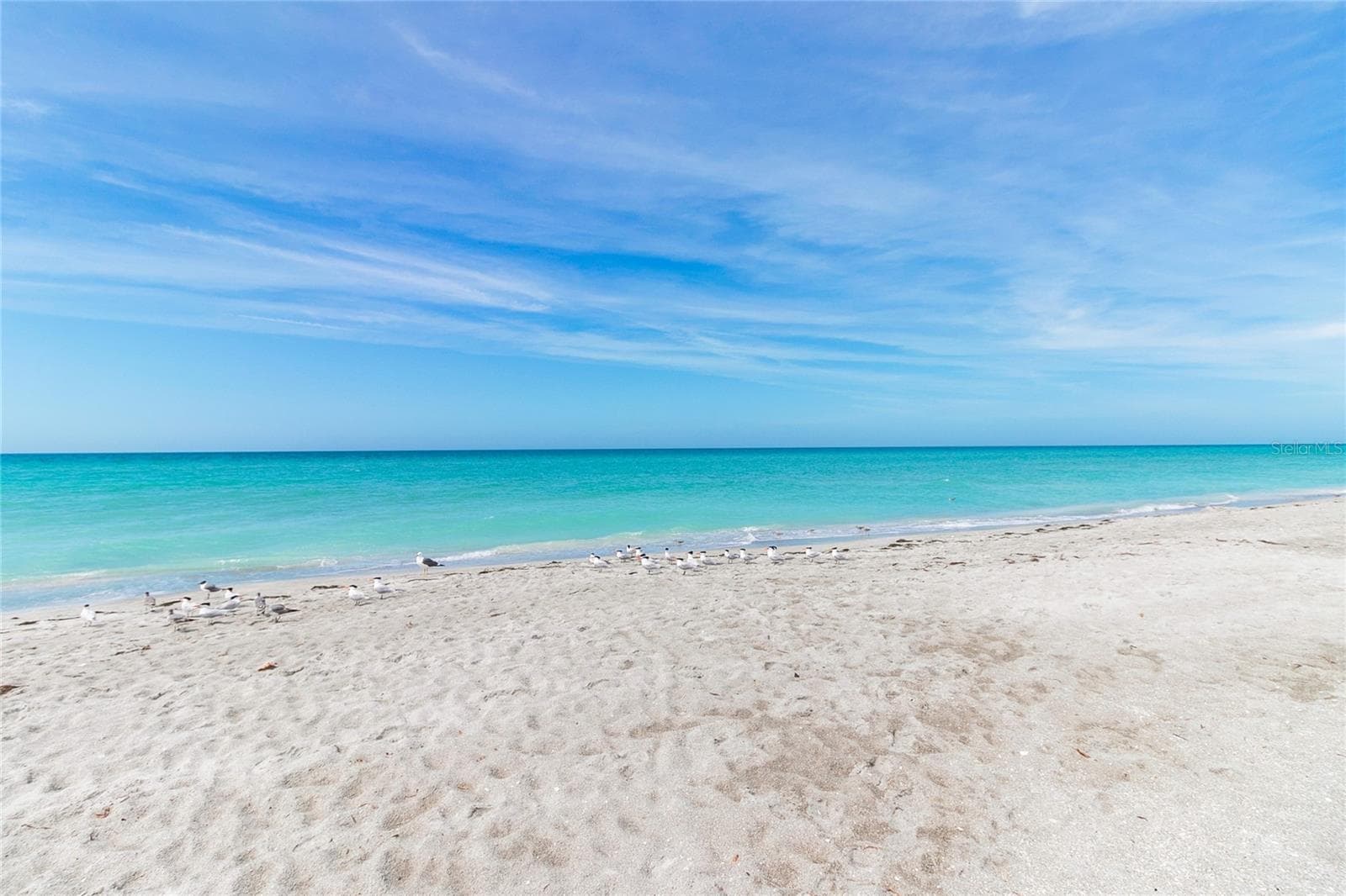 Condominium at 1065 GULF OF MEXICO DR #402, LONGBOAT KEY, photo 28 of 47
