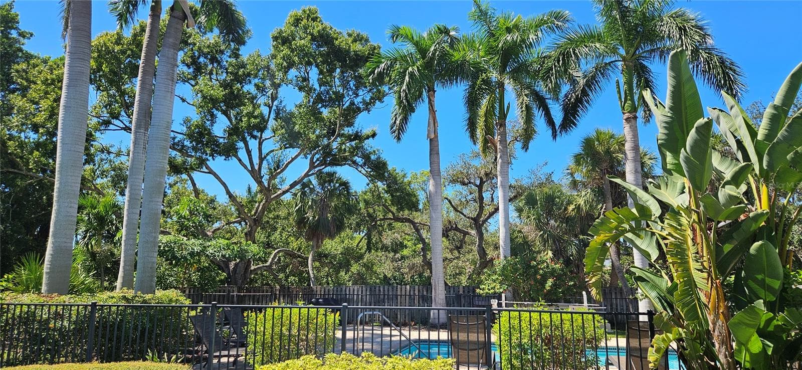Condominium at 2232 BAHIA VISTA ST #A6, SARASOTA, photo 34 of 59