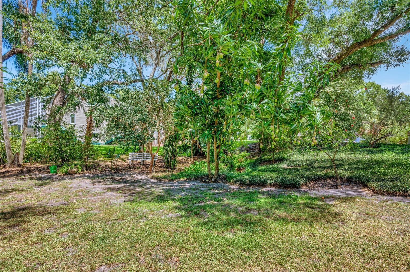 Single Family Residence at 11526 RIVER COUNTRY DR, RIVERVIEW, photo 43 of 45