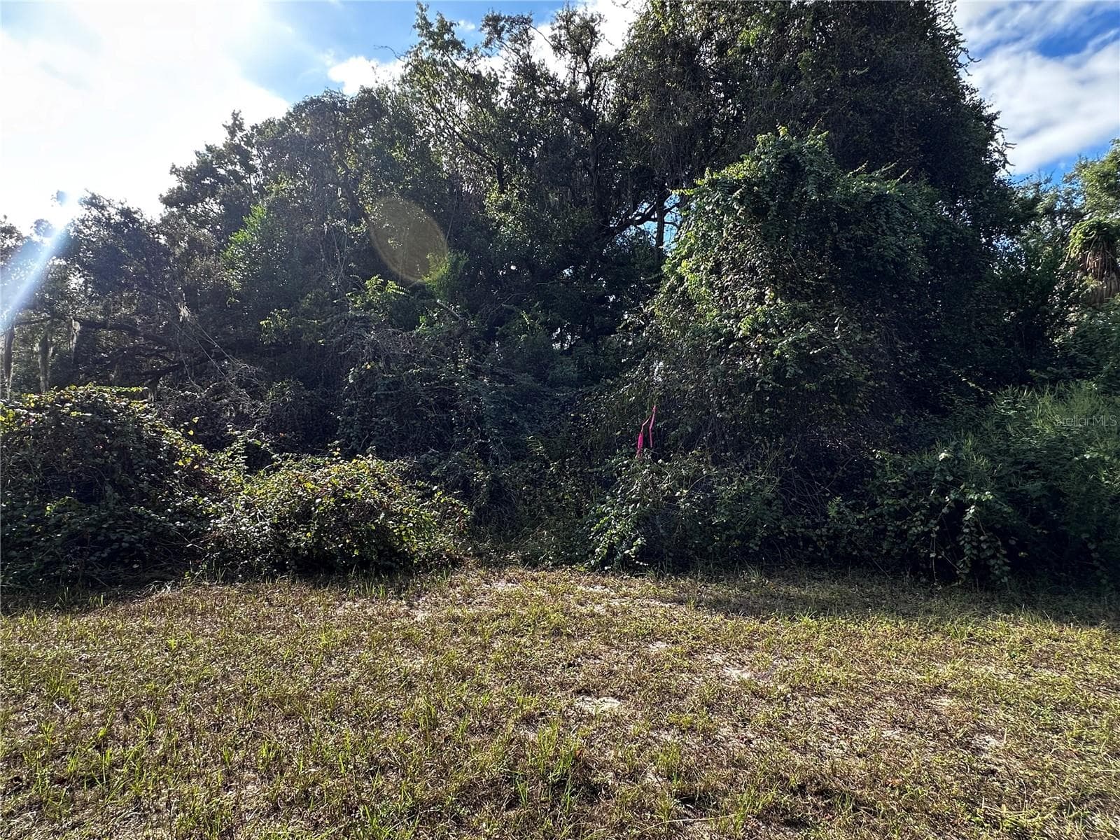 Land at 722 HIGHWAY 40 W, INGLIS, photo 11 of 23