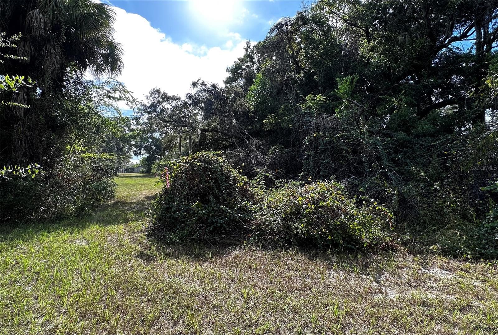 Land at 722 HIGHWAY 40 W, INGLIS, photo 12 of 23