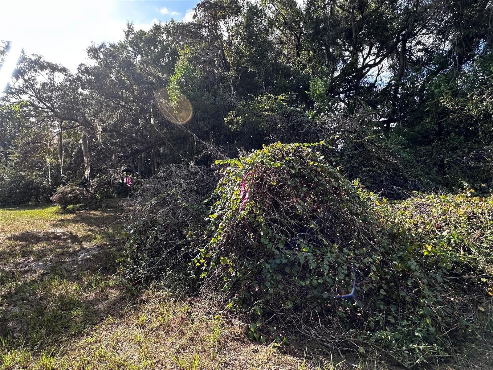 Land at 722 HIGHWAY 40 W, INGLIS, photo 13 of 23