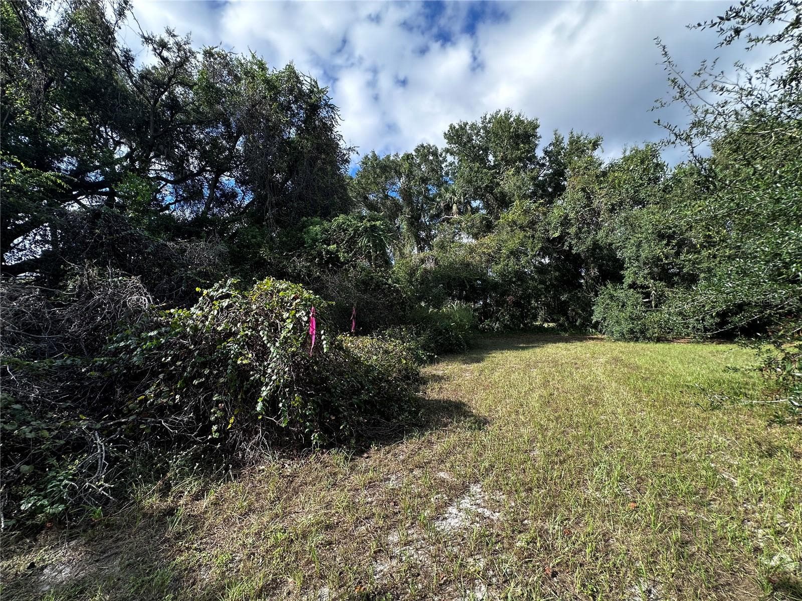 Land at 722 HIGHWAY 40 W, INGLIS, photo 15 of 23