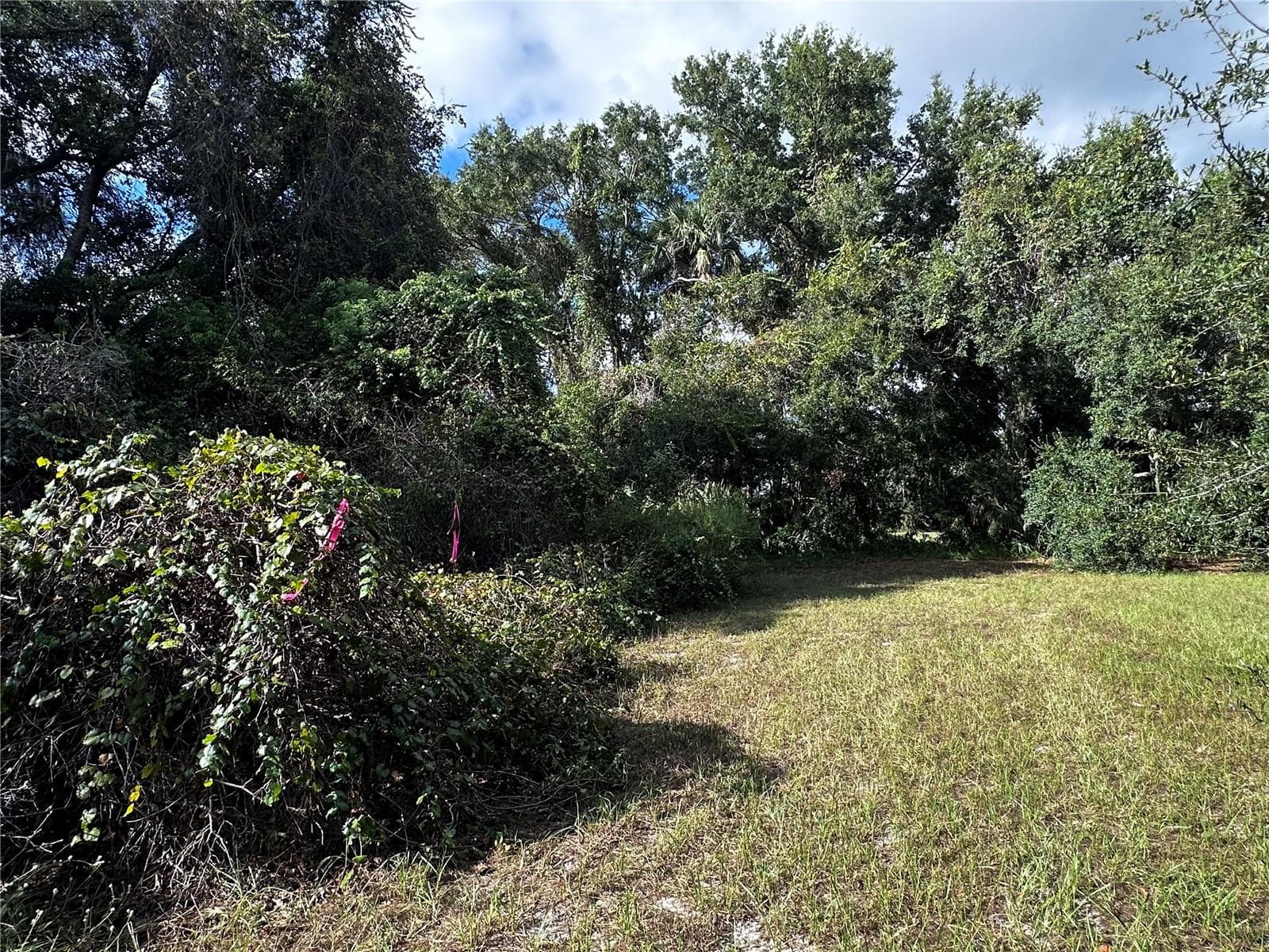 Land at 722 HIGHWAY 40 W, INGLIS, photo 16 of 23