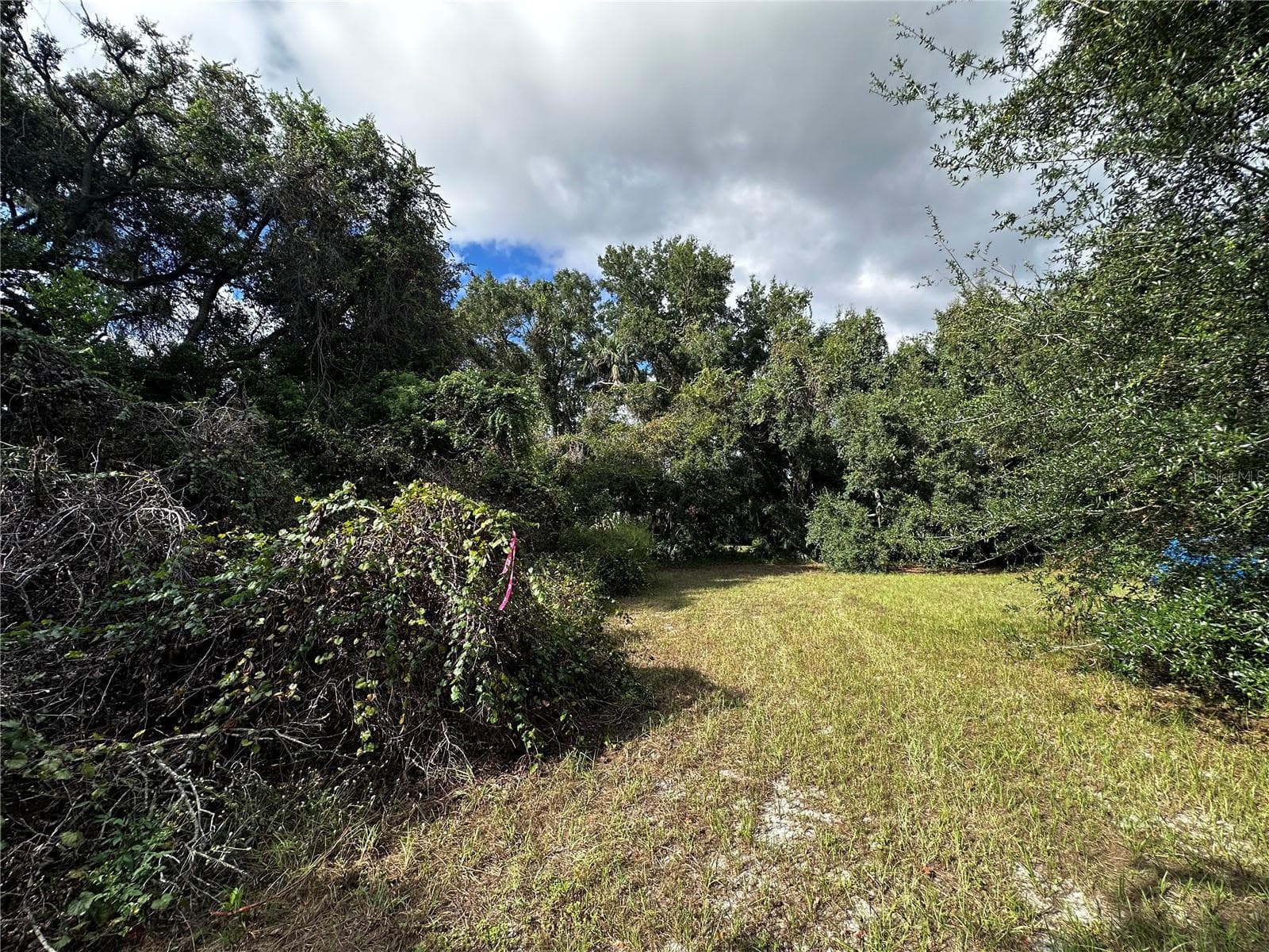 Land at 722 HIGHWAY 40 W, INGLIS, photo 17 of 23