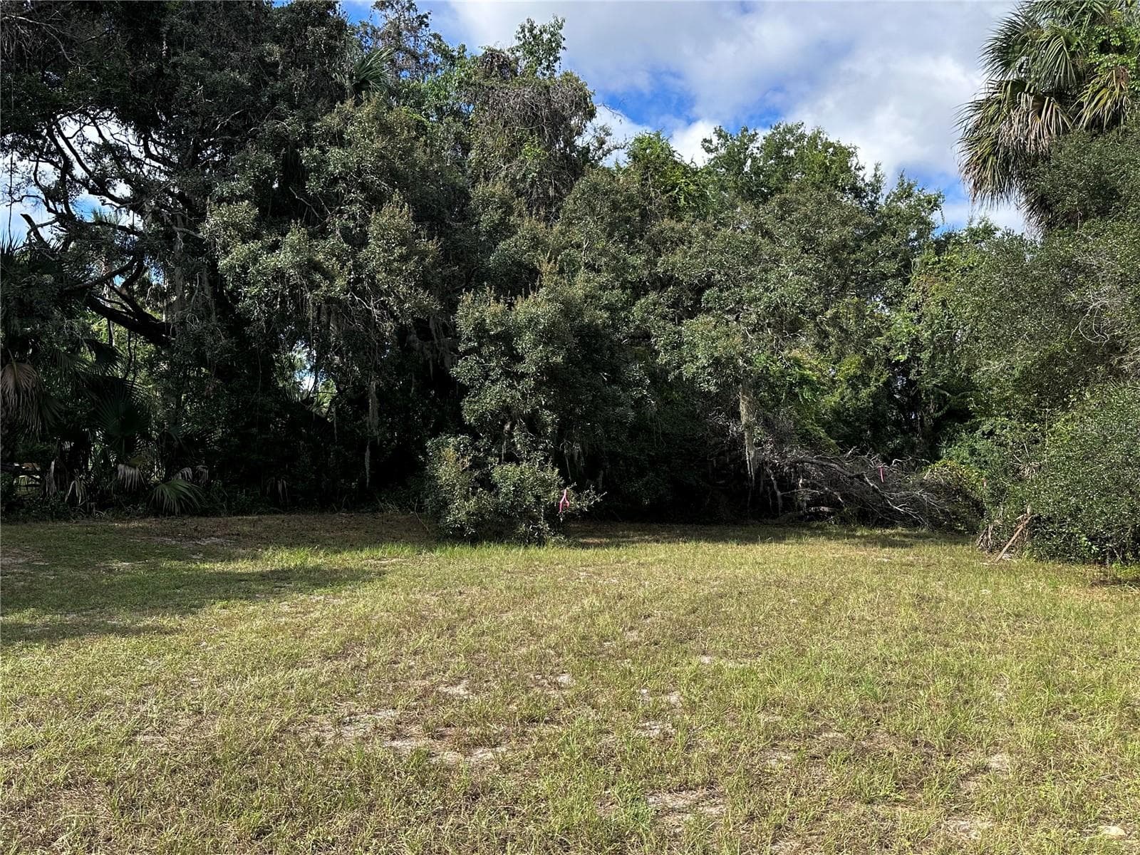 Land at 722 HIGHWAY 40 W, INGLIS, photo 19 of 23