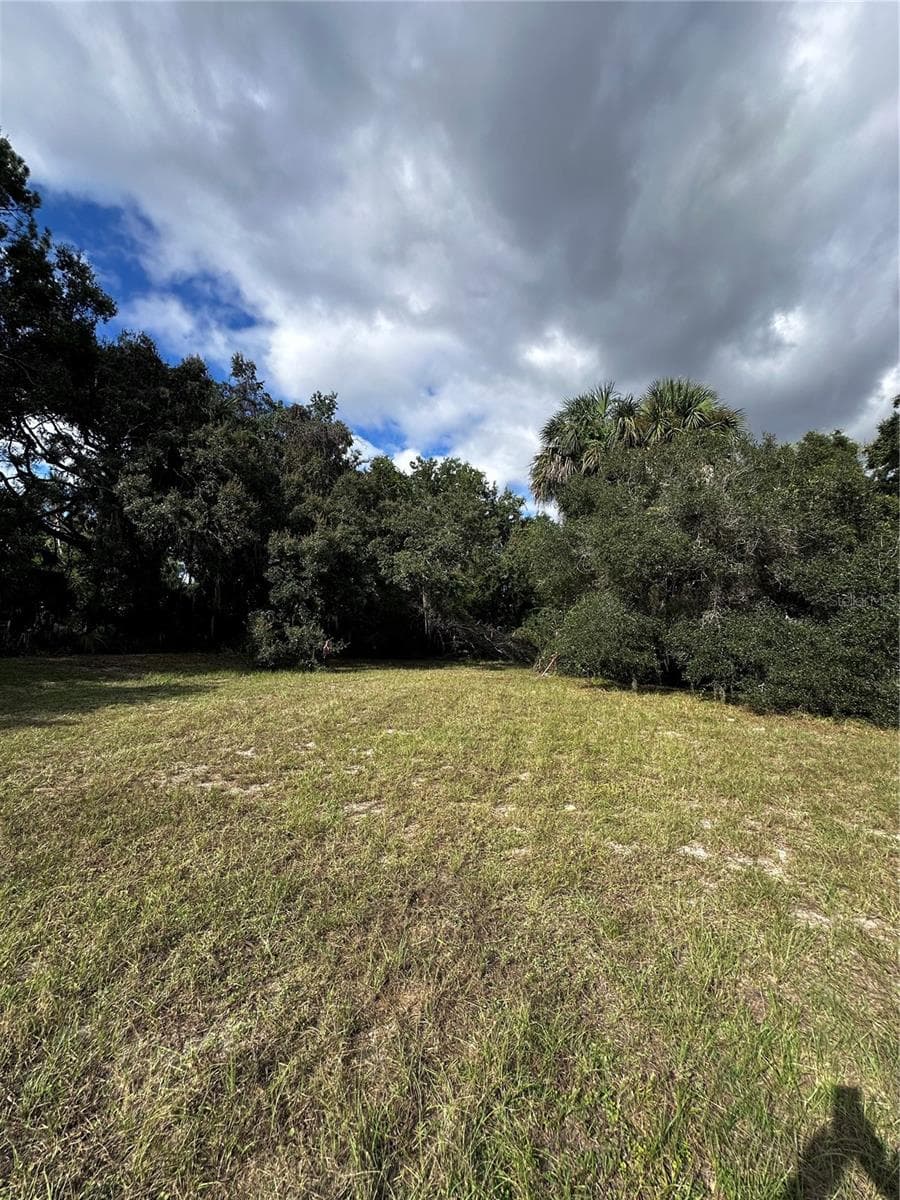 Land at 722 HIGHWAY 40 W, INGLIS, photo 20 of 23