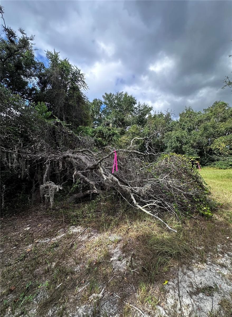 Land at 722 HIGHWAY 40 W, INGLIS, photo 22 of 23