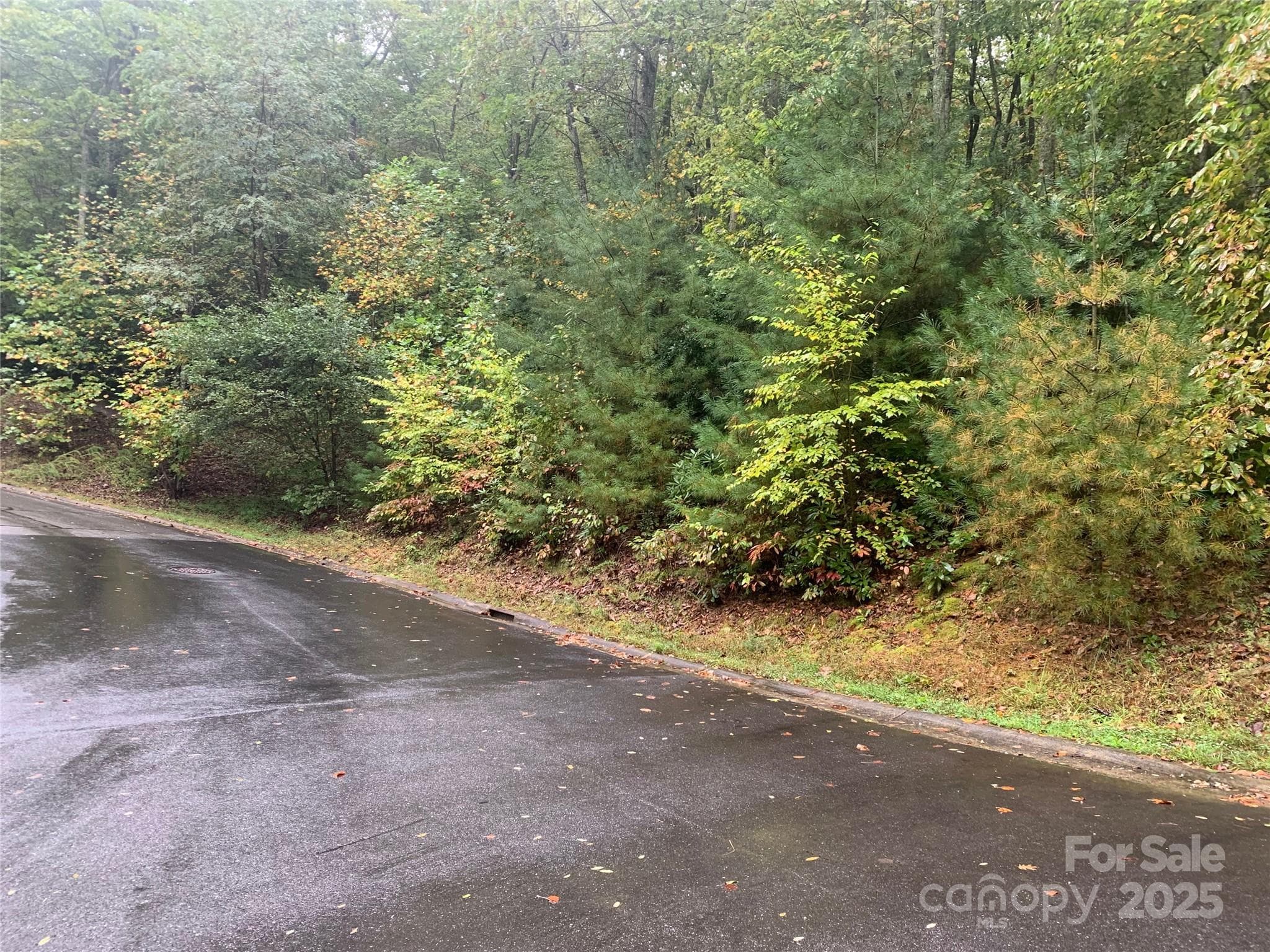 Lot at Black Mountain, photo 2 of 8