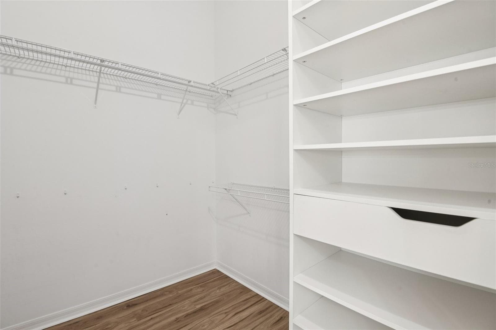 Walk-in closet Suite 2 - 3314 BROKEN BOW DR, LAND O LAKES