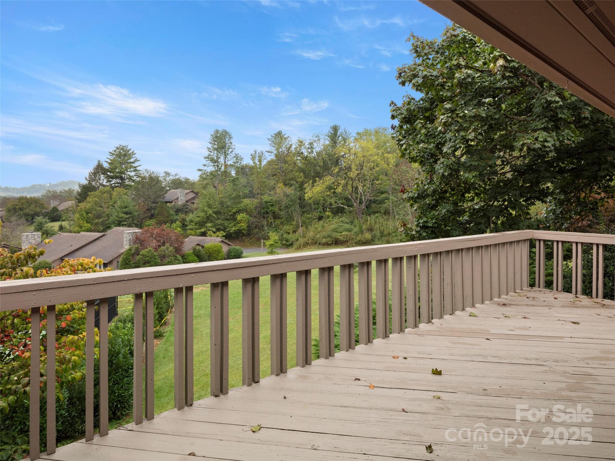 Large Deck great for entertaining - Asheville