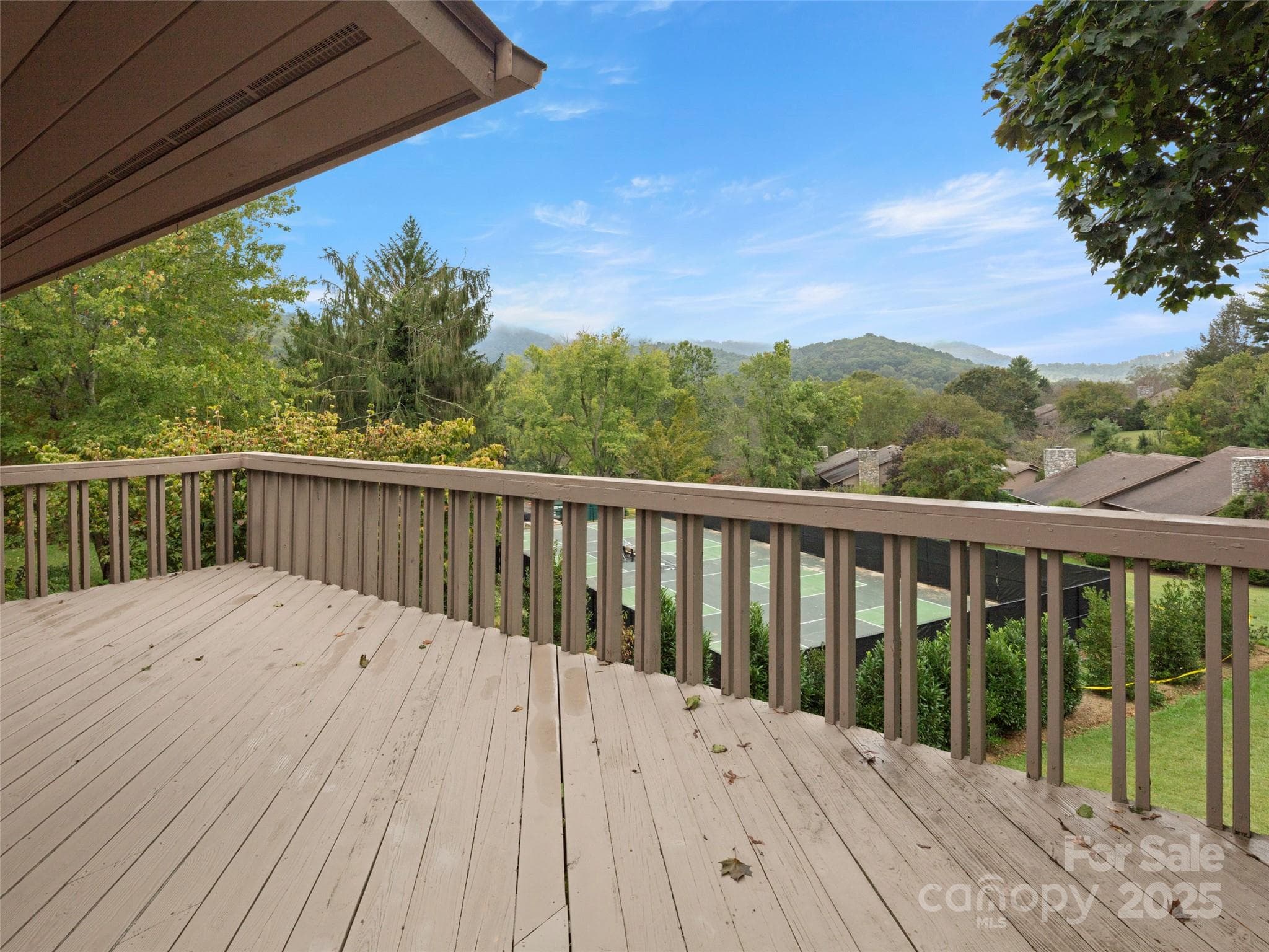 Large Deck great for entertaining - Asheville