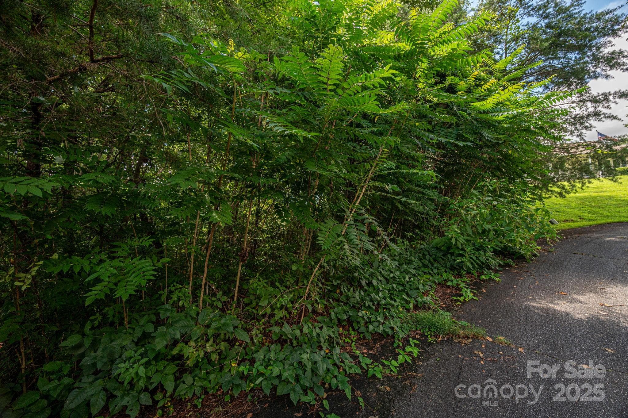Lot at Lot 19 Line Drive, Forest City, photo 3 of 8