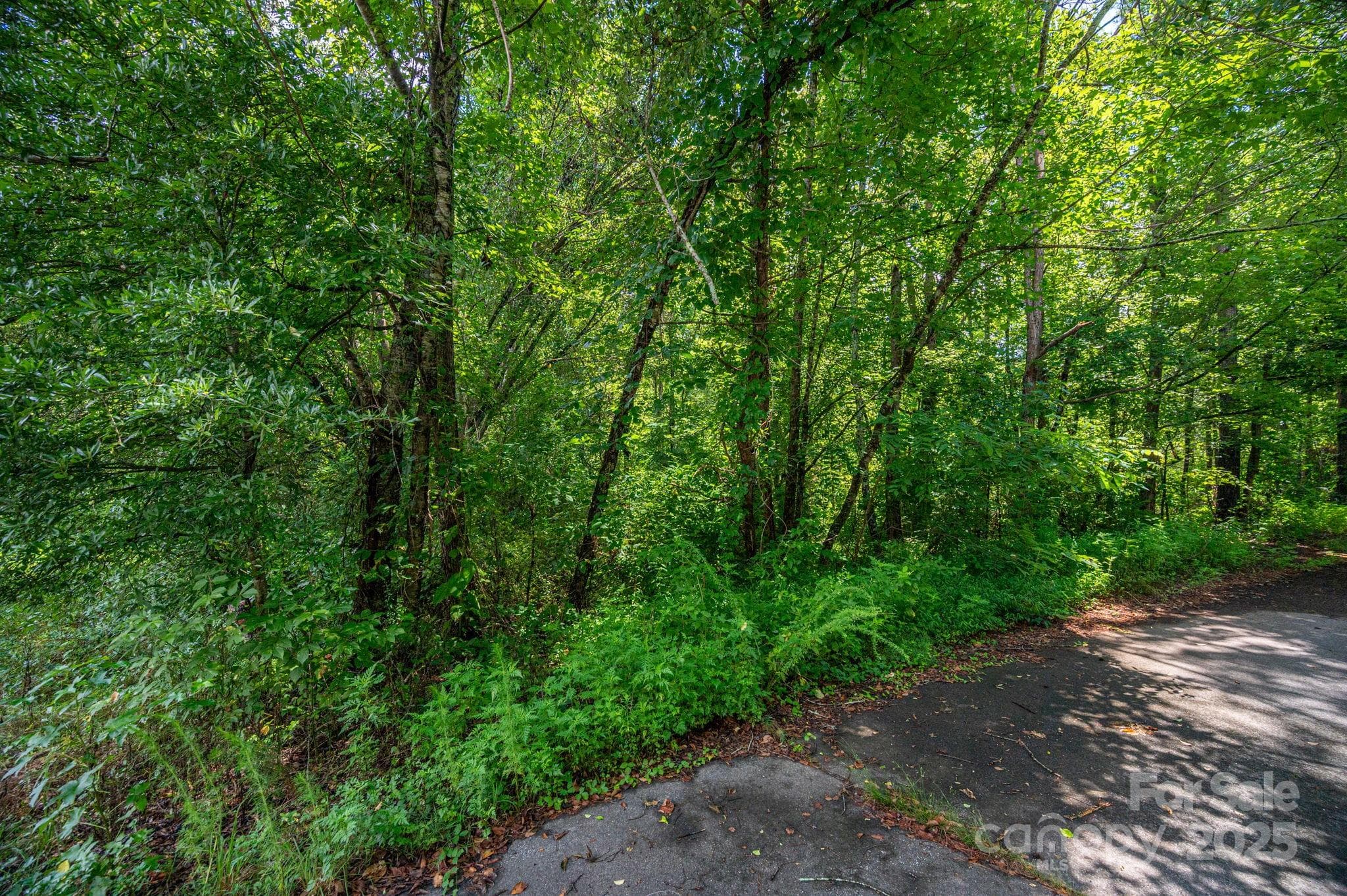 Lot at Lot 31 Line Drive, Forest City, photo 4 of 10