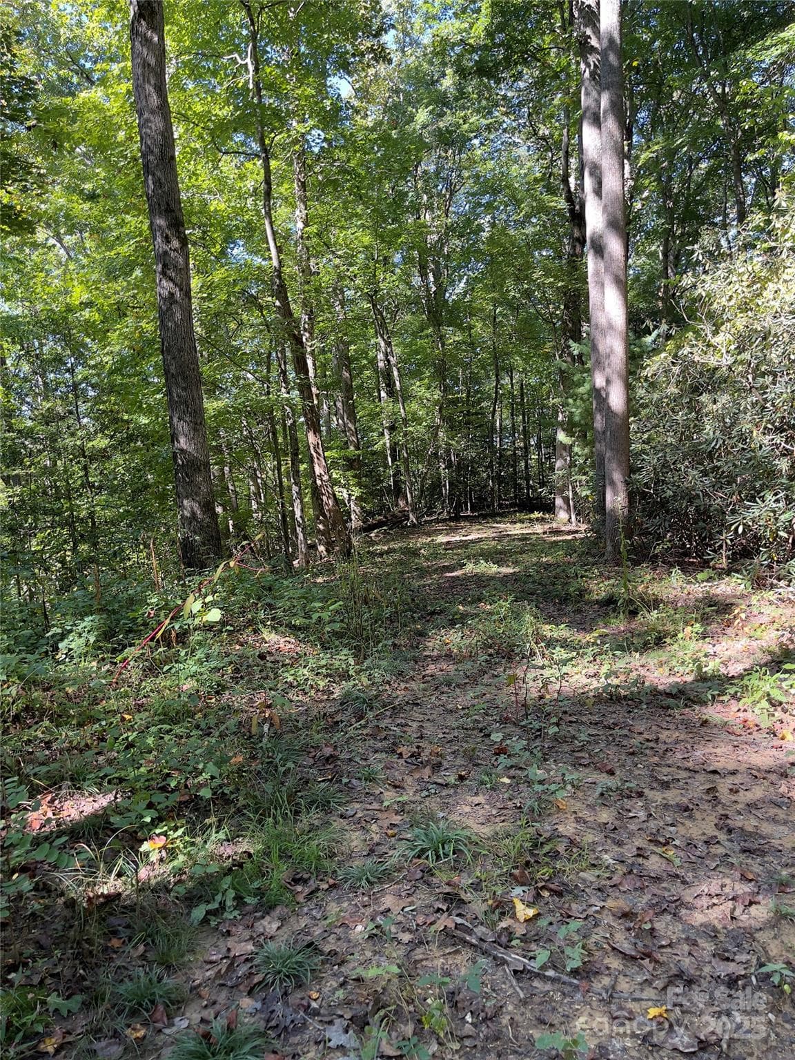 Acreage at Henderson, photo 3 of 63