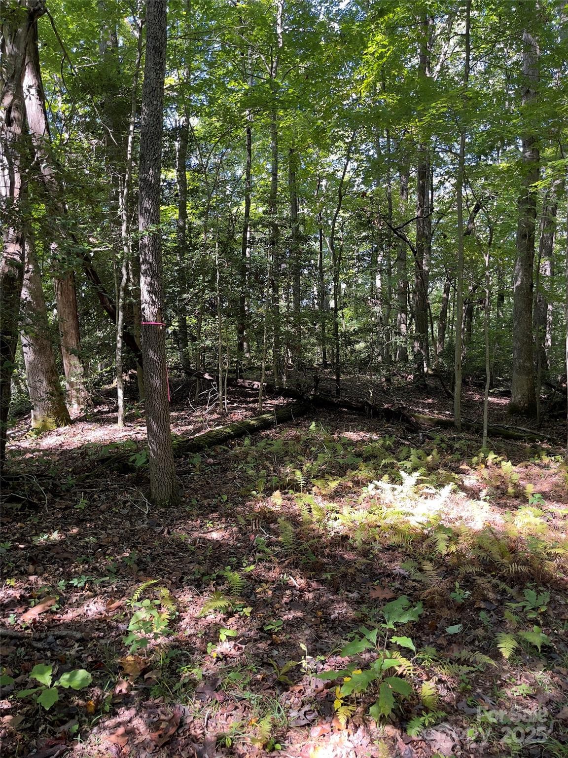 Acreage at Henderson, photo 5 of 63