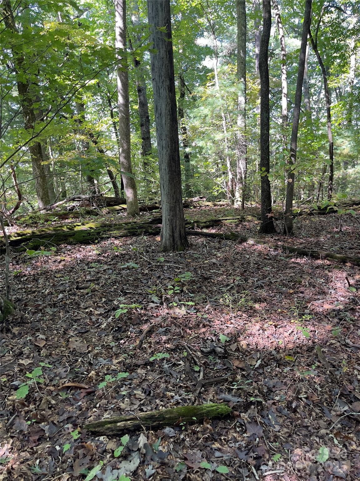 Acreage at Henderson, photo 7 of 63