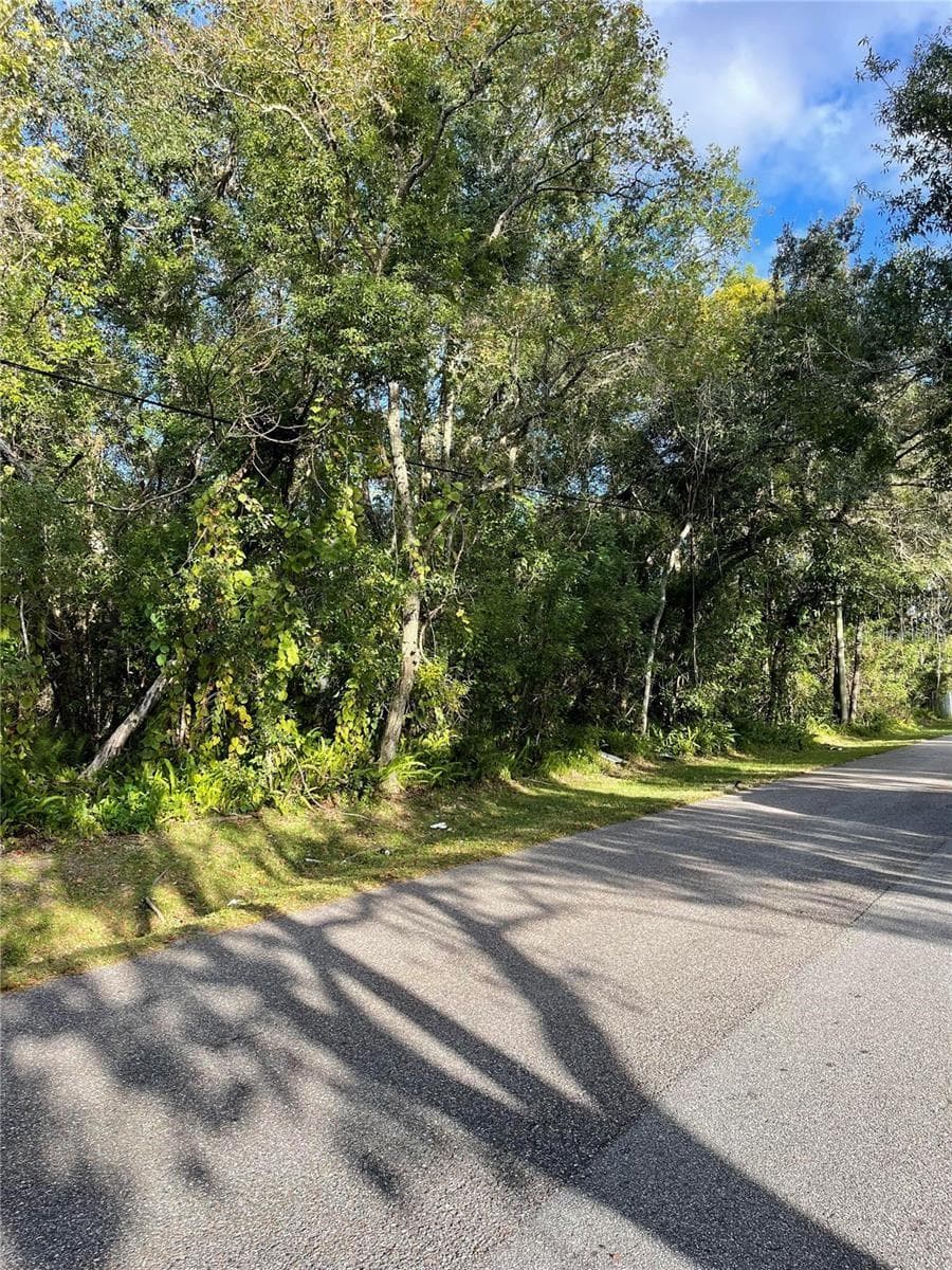 Land at 6117 CORNELIA AVE, ORLANDO, photo 6 of 8