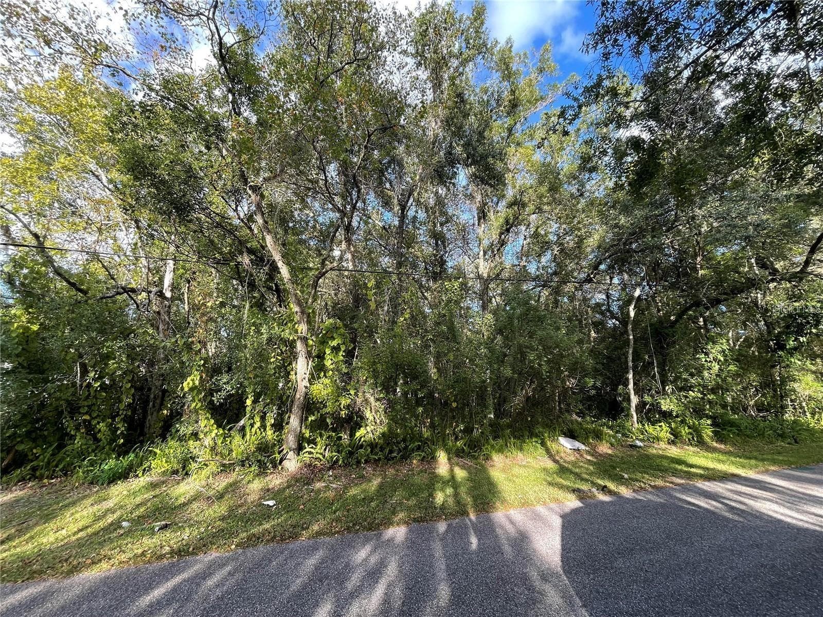 Land at 6117 CORNELIA AVE, ORLANDO, photo 7 of 8