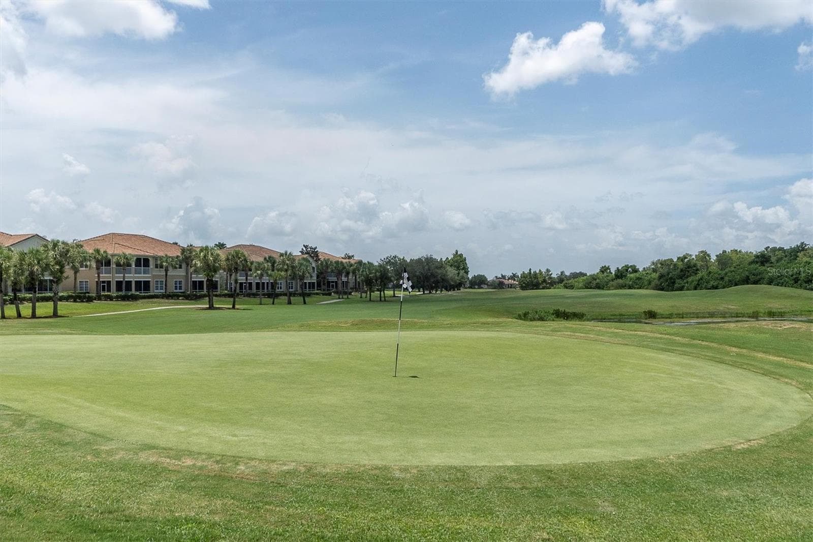18 hole golf course - 301 THORN HILL PL, SUN CITY CENTER