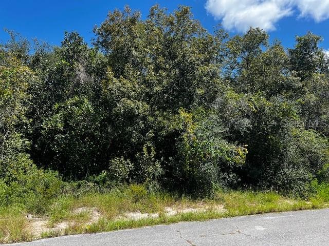 Land at 1229 BALTIC DR, POINCIANA, photo 4 of 4