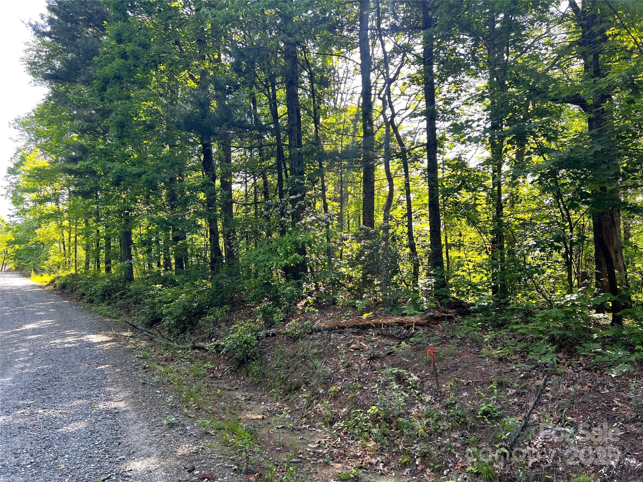 Lot at Brevard, photo 2 of 18