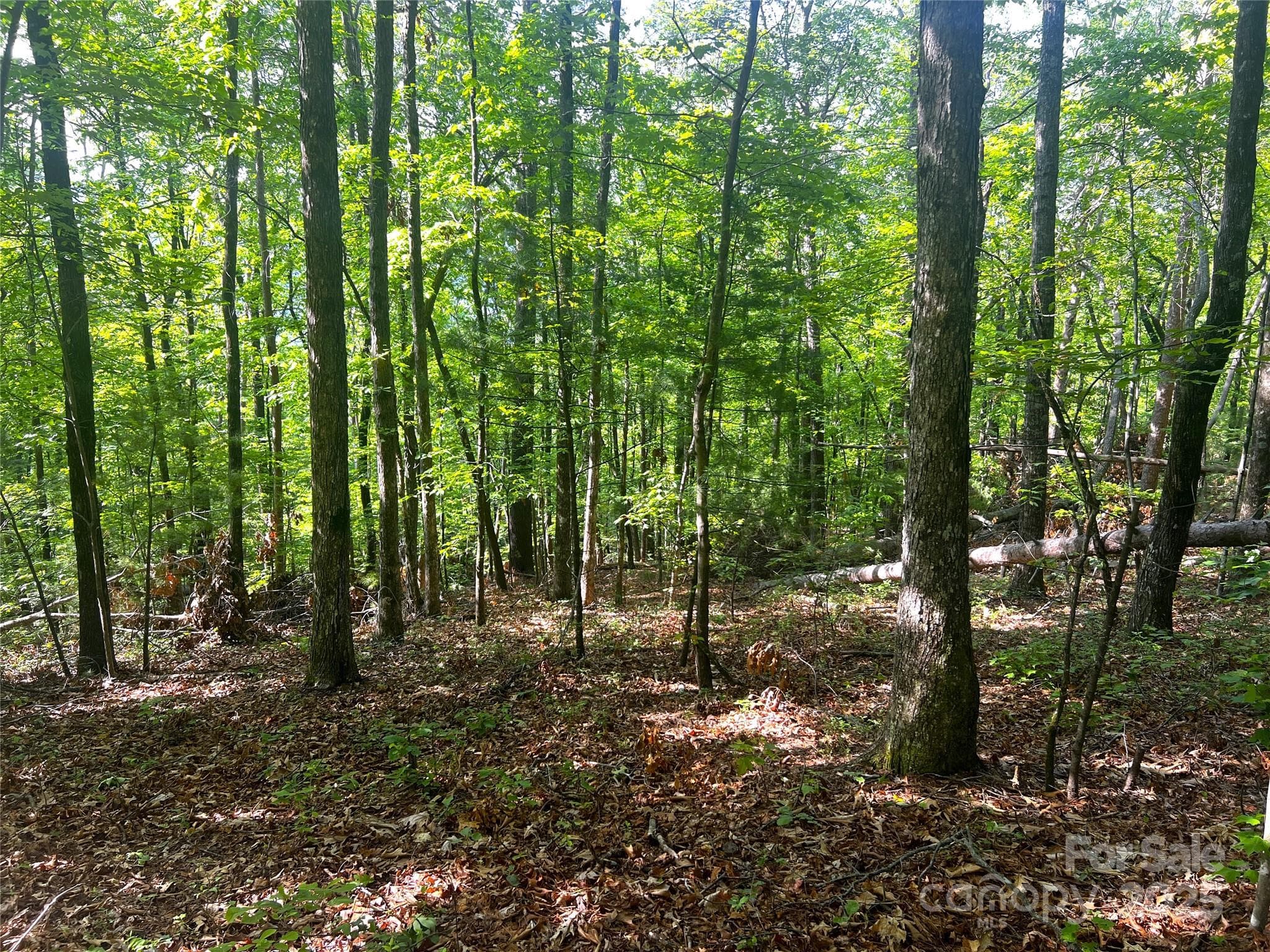 Lot at Brevard, photo 3 of 18
