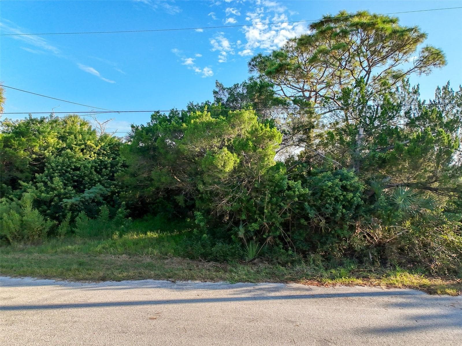 Land at lot 11 NOWIKI AVE, HUDSON, photo 11 of 12