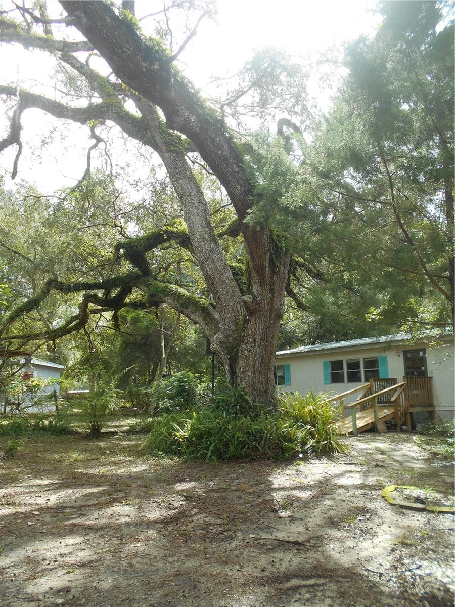 FRONT VIEW - 20425 NE 143RD ST, SALT SPRINGS