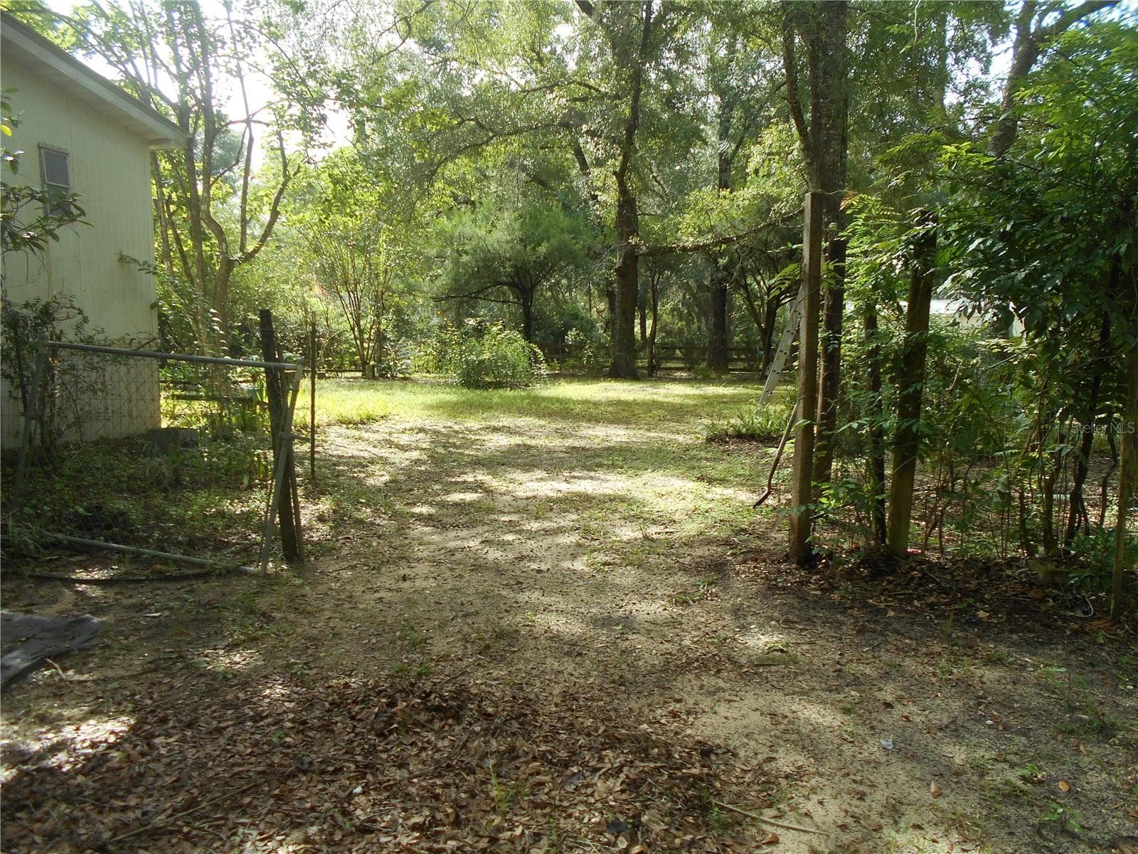 SIDE TO BACK OF PROPERTY - 20425 NE 143RD ST, SALT SPRINGS