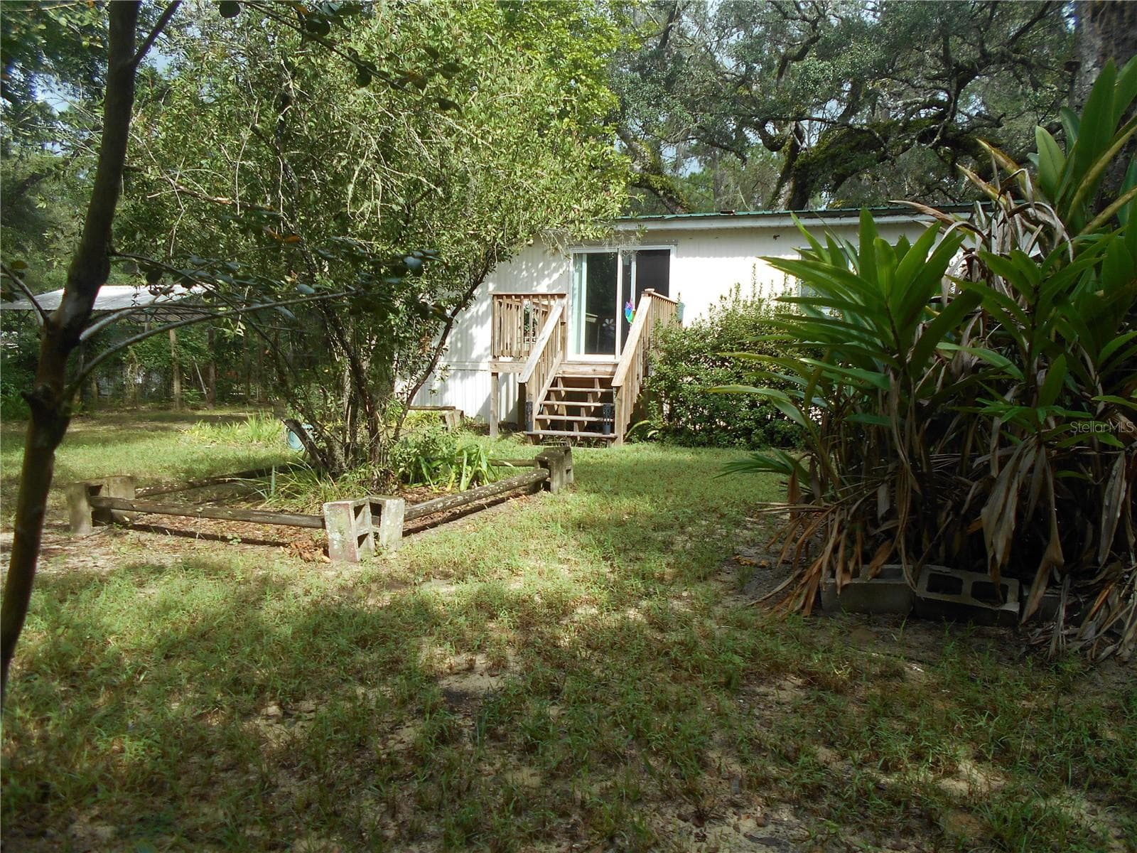 MATURE LANDSCAPING - 20425 NE 143RD ST, SALT SPRINGS